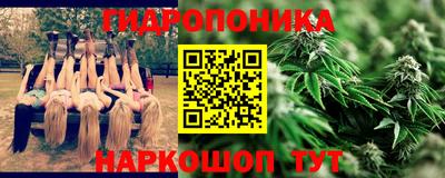 ГАЛЛЮЦИНОГЕННЫЕ ГРИБЫ Гагарин