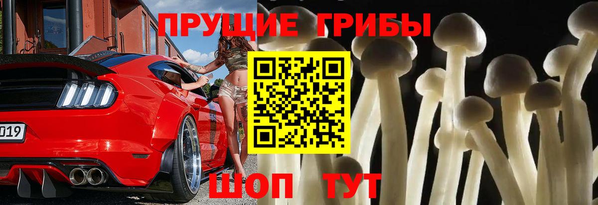 Галлюциногенные грибы ЛСД  Вход с VPN  Протвино  закладка  Псилоцибиновые грибы MAGIC MUSHROOMS 